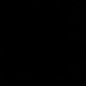 Meet your Posher, Adebisi